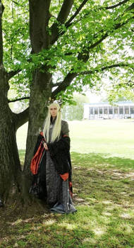 Thranduil egapark