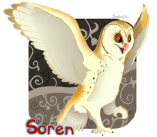 Soren badge