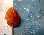 Like a tree in the rain II. by QueenOfRavens