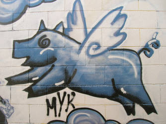 Flying Pig