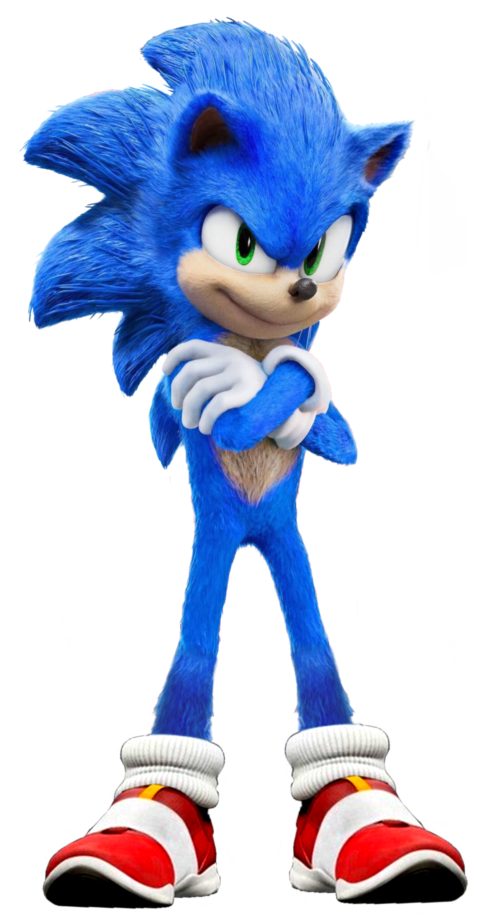 Sonic The Hedgehog Movie 2020 PNG Transparent