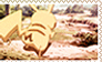 Pikachu n Caperpie