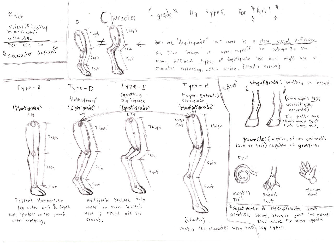 Digitgrade Rig For Models Digitigrade Variants Diagram by SuperflyMiceguy on DeviantArt
