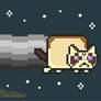 Grumpy Nyan Cat