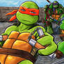 TMNT: roof