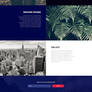 Stellar / Responsive Muse Template for Agencies