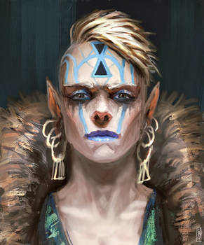 Shadowrunners portrait : Elf shaman