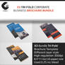 Tri fold brochure bundle