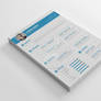 Clean Resume