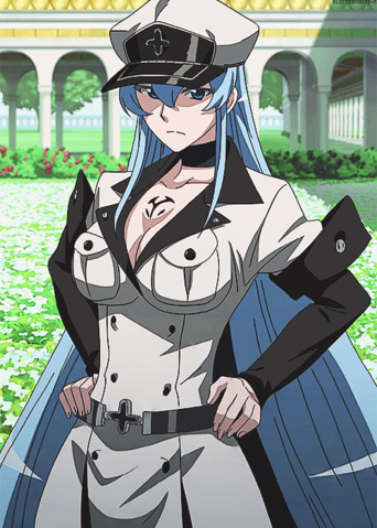 Akame - Akame ga Kill! - Episode 10 by AcidWaifu on DeviantArt