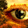 eye of the nature