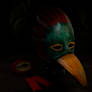 Blanchere's bird mask and ribbon