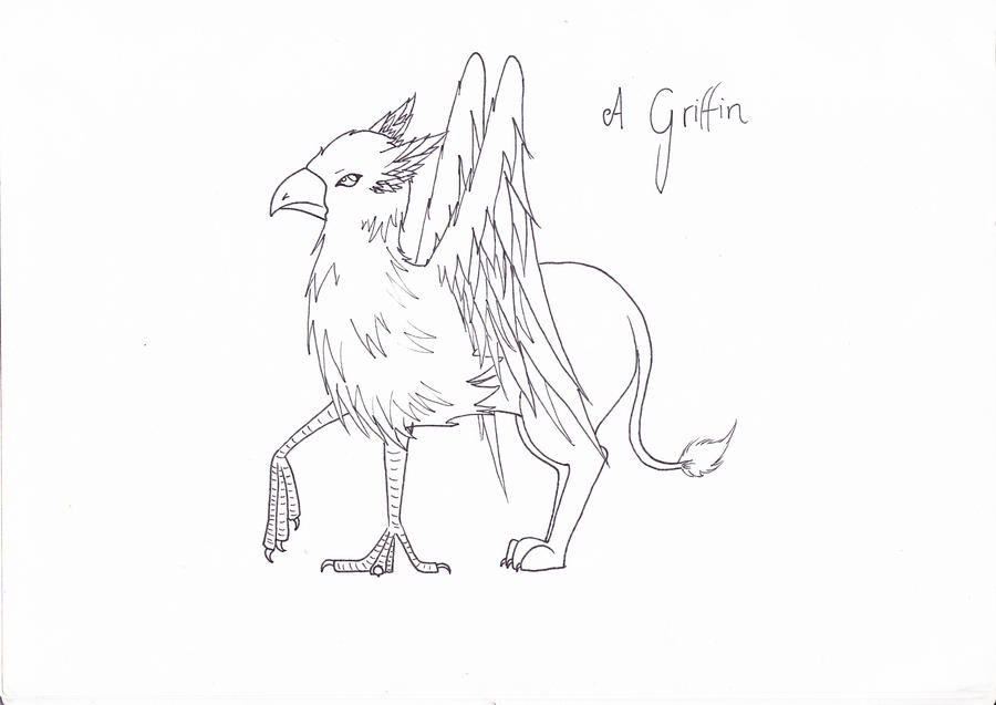 A Griffin