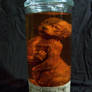 Werejaguar fetus