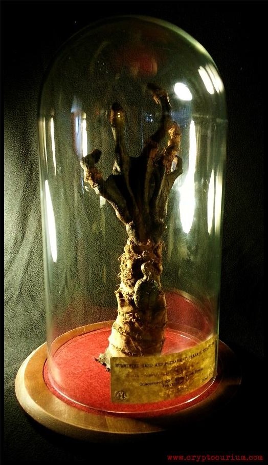 Mummified Hand and Forearm of Pharaoh Nephren-Ka