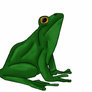 Frog animation