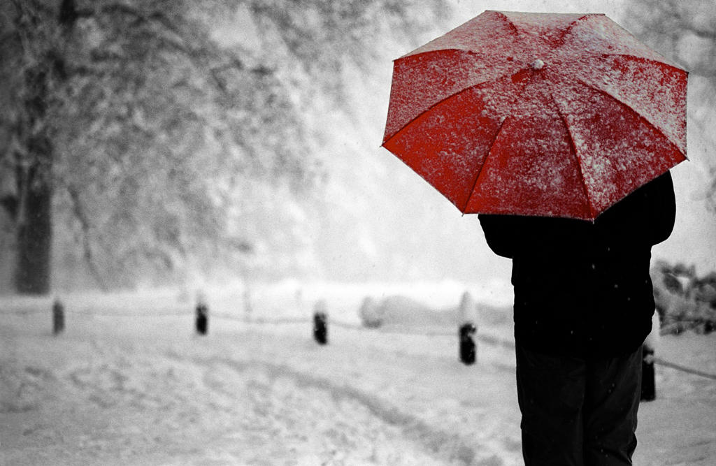 Они всегда красные забыл. Снег дождь зонт. Снег на зонтике. Красный зонт и снег. С зонтом под снегом.