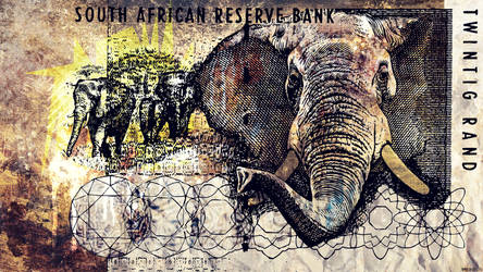 twenty rand note