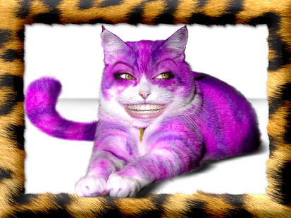 Cheshire Cat