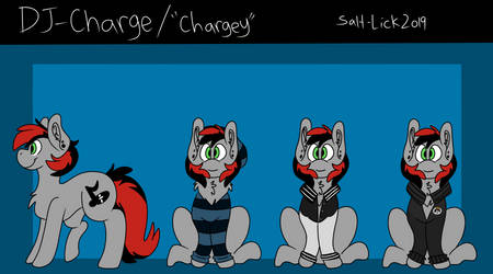 Charge ref 2019!