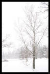 Snow by K2rdu