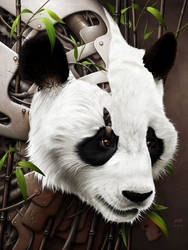 Wild 2 - The Panda