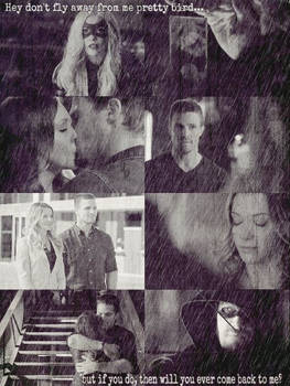 Arrow Lauriver Edit Finsihed