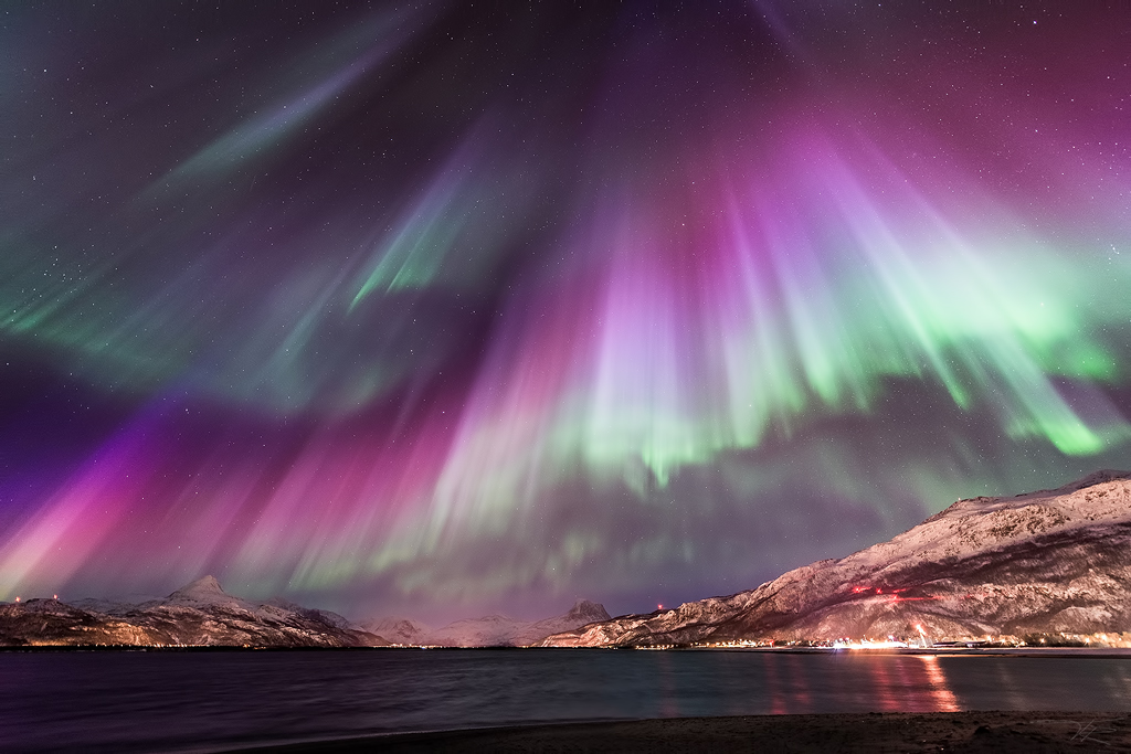Aurora Brutality by Trichardsen on DeviantArt Aurora Brutality by Trichardsen on DeviantArt