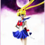 Sailor Moon (Perfect Edition)