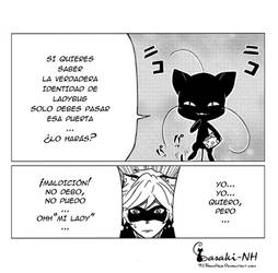 Chat Noir and Plagg - Miraculous LadyBug