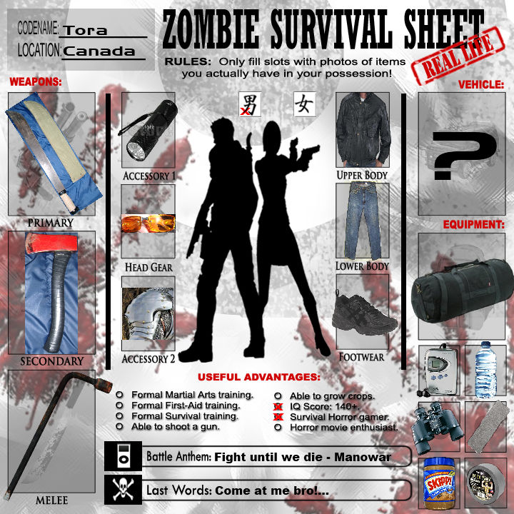 Zombie survival sheet meme, real. by RennisTora on DeviantArt