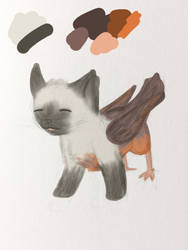 Reverse Griffon Doodle - Domestic: Siamese, Robin