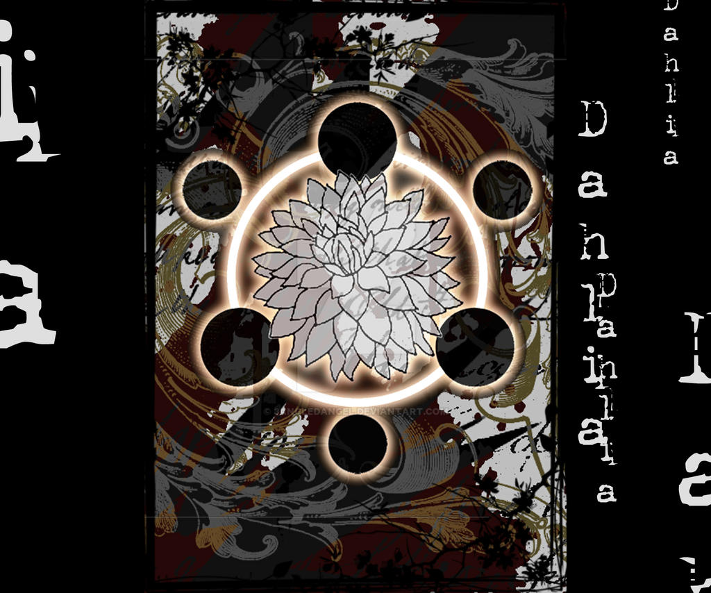 Dahlia Cover C