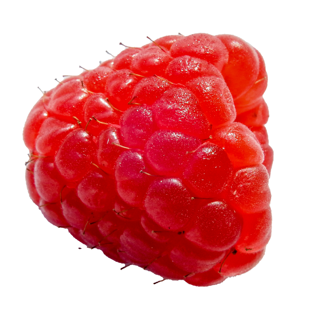 Raspberry PNG by Bunny-with-Camera on DeviantArt