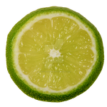 Lime Slice PNG by Bunny-with-Camera