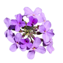 Cluster of Purple Flowers PNG