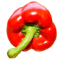 Red Bell Pepper PNG