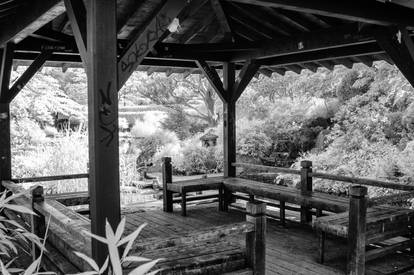 Japanese Garden