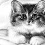 .:Cute Kitten Drawing:.