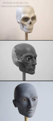 Head Sculpting progress