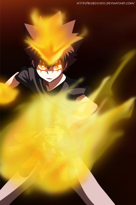 Kateikyoushi Hitman Reborn