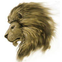 Lionhead-1