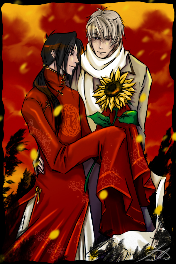 APH - Sunflower