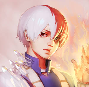 TODOROKI