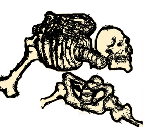 Skeleton Carcass