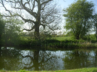 Long Eaton Canal, Nottingham, England