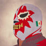 Luchador