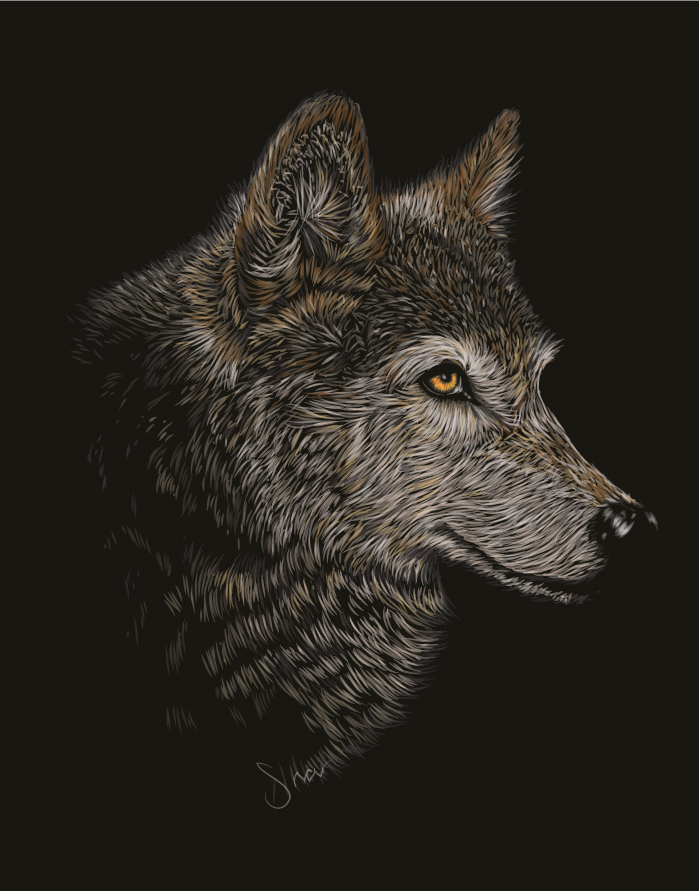 Wolf for Kovo