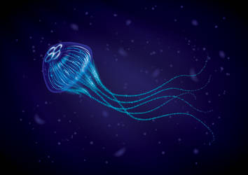 How to Create a Jellyfish