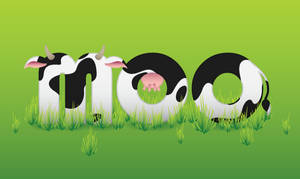 Moo!